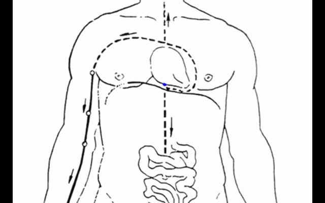 十二经脉循行动画图(2)厚积薄发哔哩哔哩bilibili