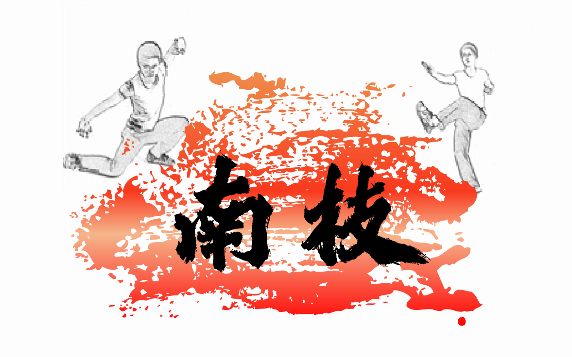 广袤园武术协会南枝拳组——3034周年庆舞台表演视频集锦哔哩哔哩bilibili