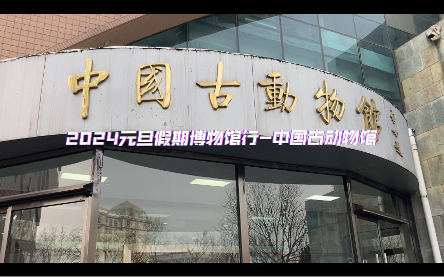 2024元旦假期博物馆行-中国古动物馆