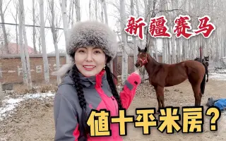 马场一平 搜索结果 哔哩哔哩 Bilibili