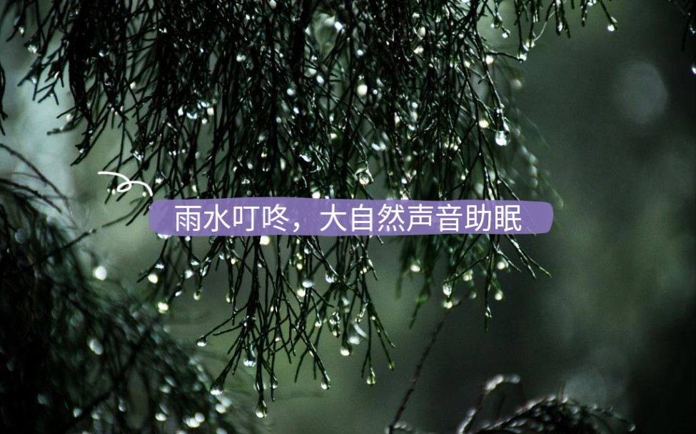 [图]〔雨声助眠〕雨水叮咚！下雨的时候躲避的屋檐下，雨水低落的瞬间，傍晚窗前叮咚的雨水滴答滴答的声音，伴随着雨声更容易进入梦乡哦⊙∀⊙！5分钟让你快速入眠。