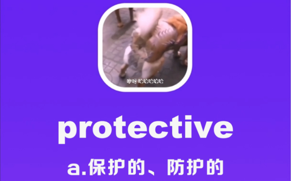 protective:保护的,防护的哔哩哔哩bilibili