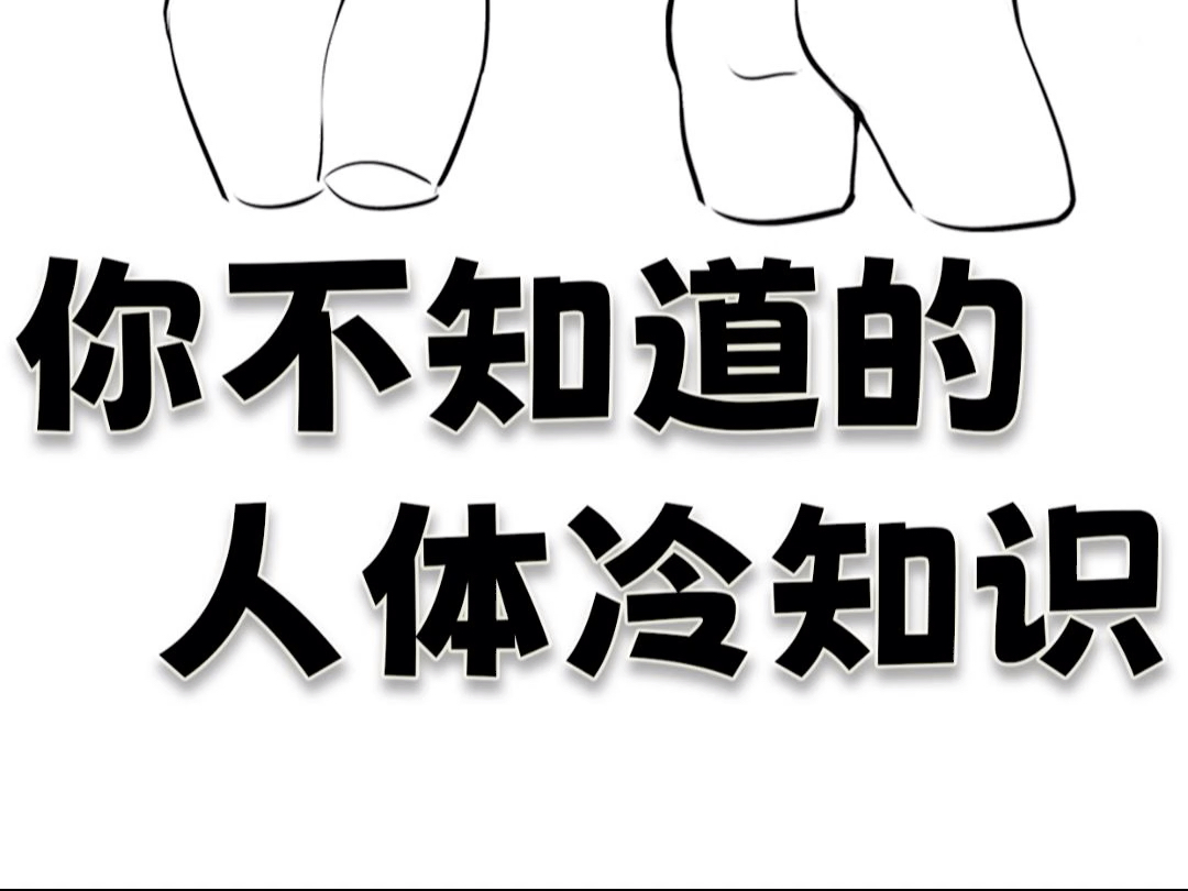 零基础版画人体技巧!你不知道的冷知识!#零基础学画画[话题]# #画画的日常[话题]# #哔哩哔哩bilibili