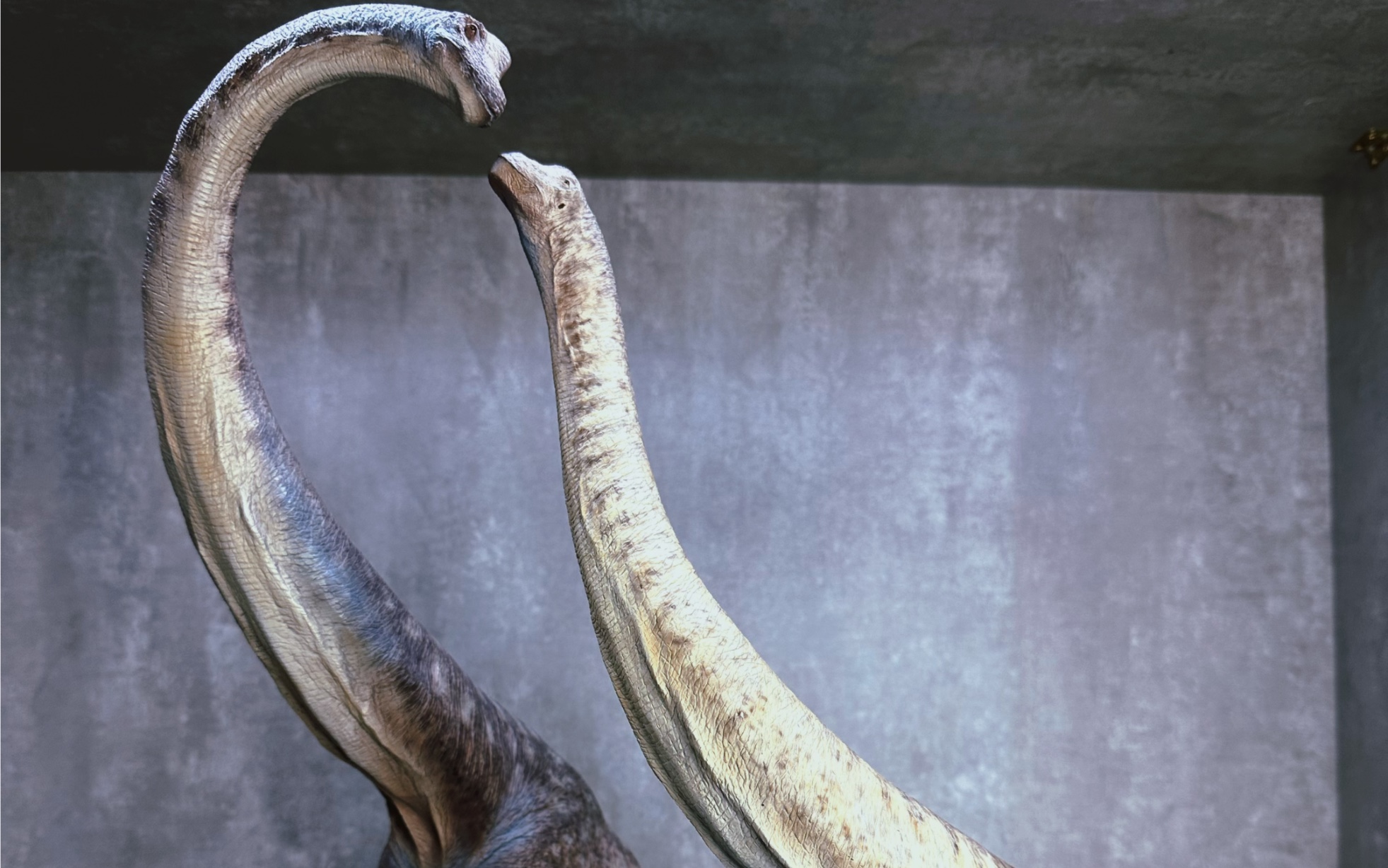 蘑菇gk 长颈巨龙 恐龙圈最恩爱夫妻