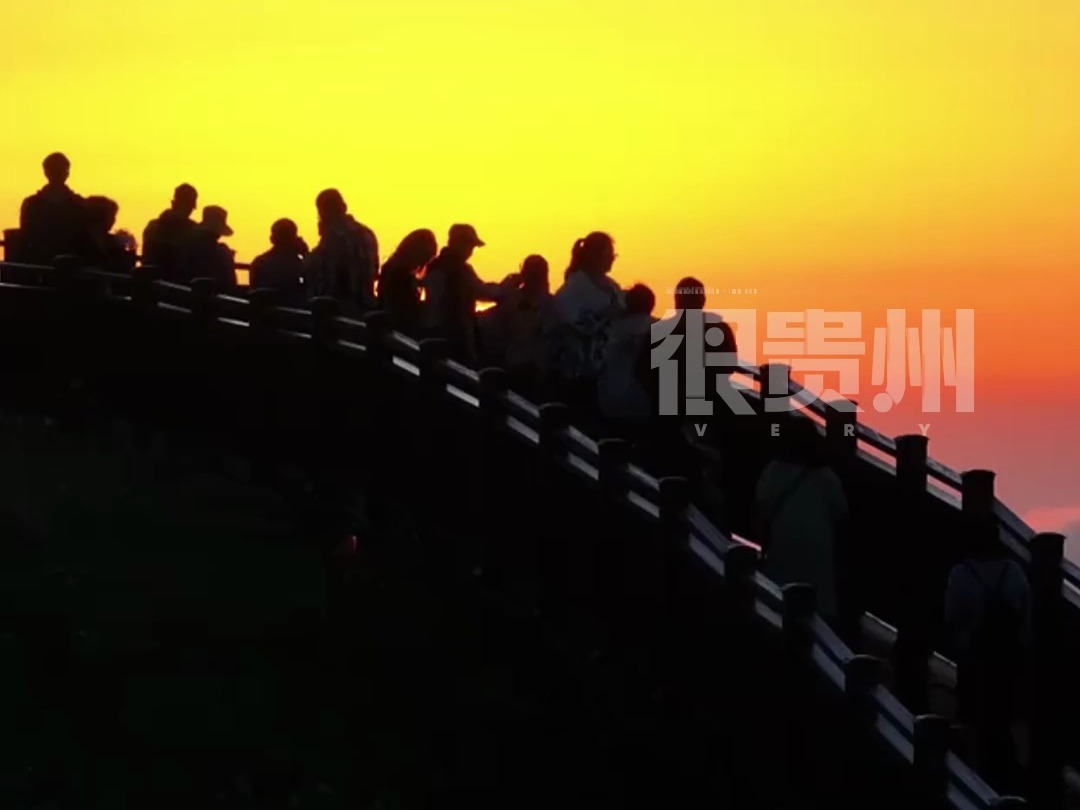 来贵州毕节韭菜坪看日出,送你一场紫色幻梦哔哩哔哩bilibili