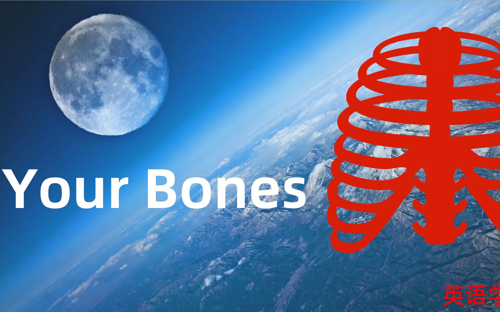 英语学习:your borns