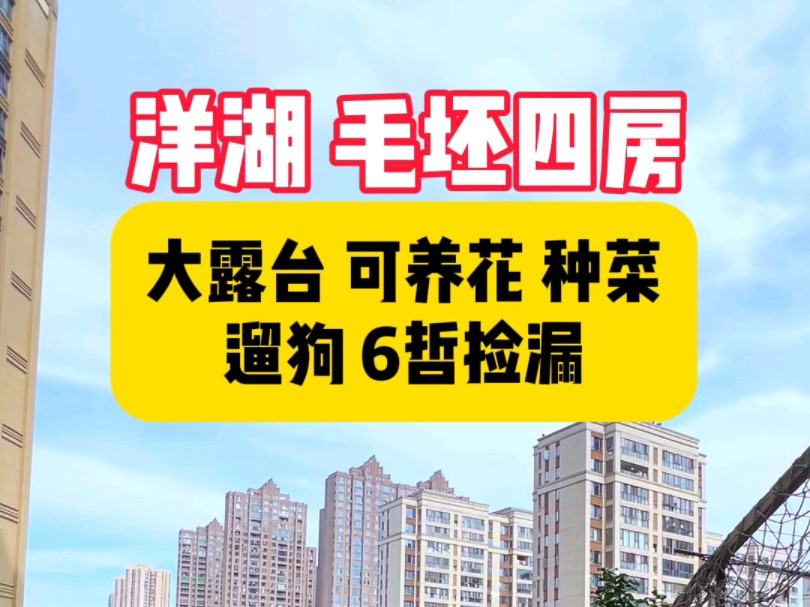 有这样一个大露台,养花种菜遛狗都可以,洋湖6折捡漏毛坯四房,直入博才#长沙买房#好房推荐哔哩哔哩bilibili