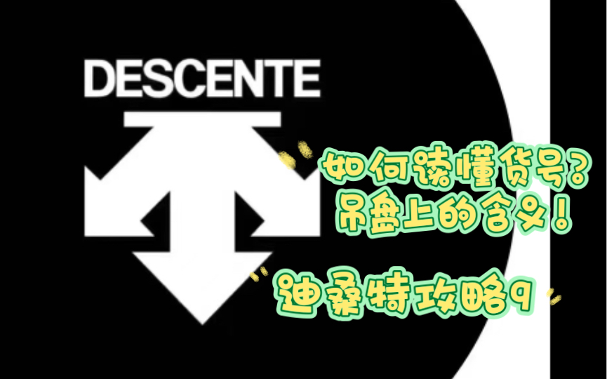 如何读懂货号?吊盘上究竟写的都是什么?迪桑特攻略9哔哩哔哩bilibili