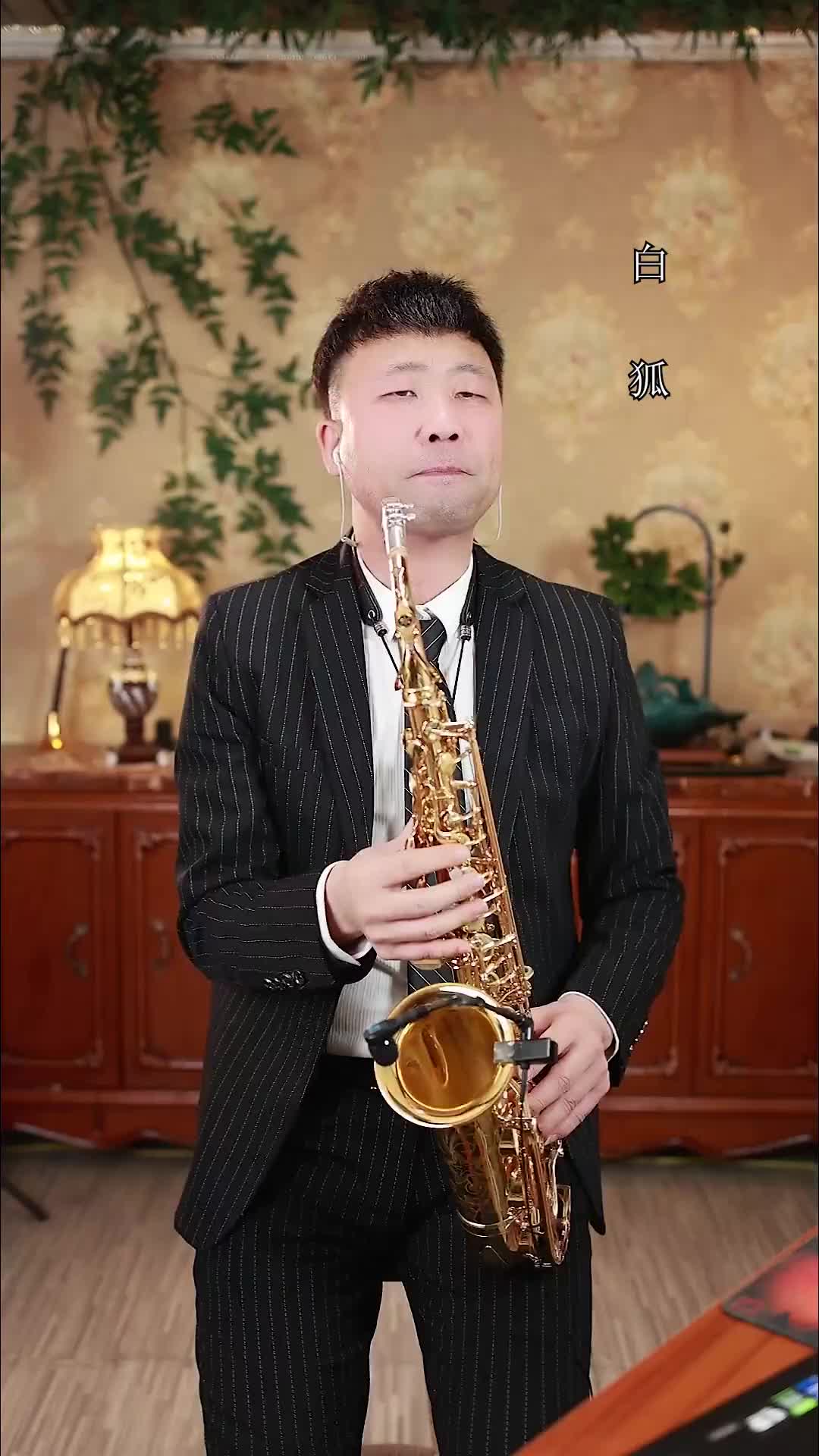 白狐才艺主播萨克斯乐器演奏