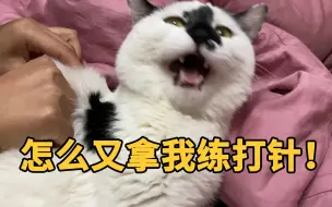 Tải video: 照顾一只绝症的猫，我们一家都身心俱疲……