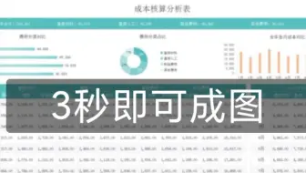 普华永道的全自动成本核算表，内嵌公式，录入数据3秒可成图