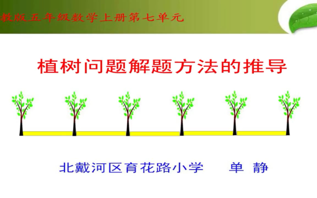 五上:《数学广角—植树问题》(含课件教案) 名师优质课 公开课 教学实录 小学数学 部编版 人教版数学 五年级上册 5年级上册(执教:单静)哔哩哔哩...