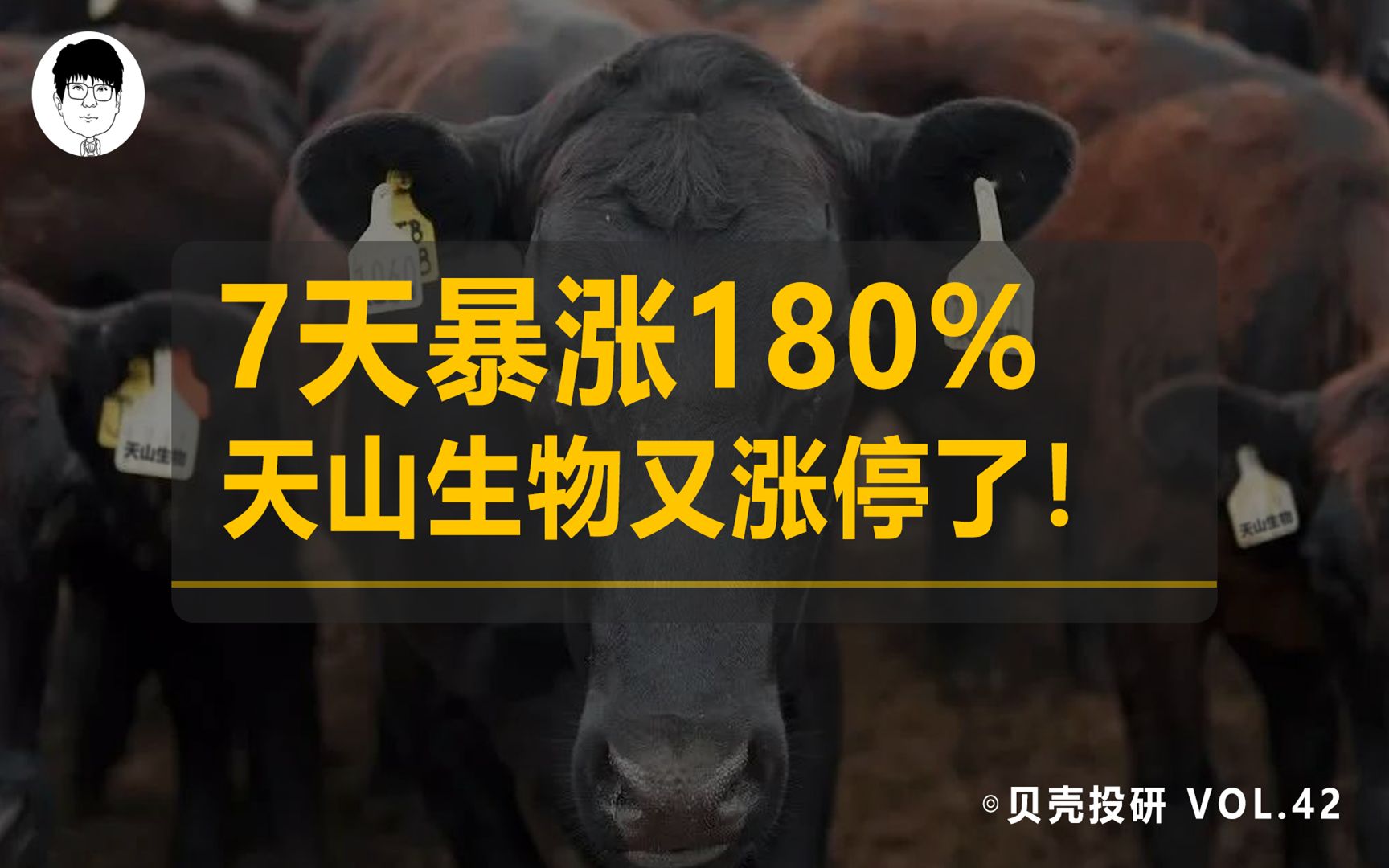 天山生物又双叒叕涨停了!7个交易日暴涨180%,小心镰刀!哔哩哔哩bilibili