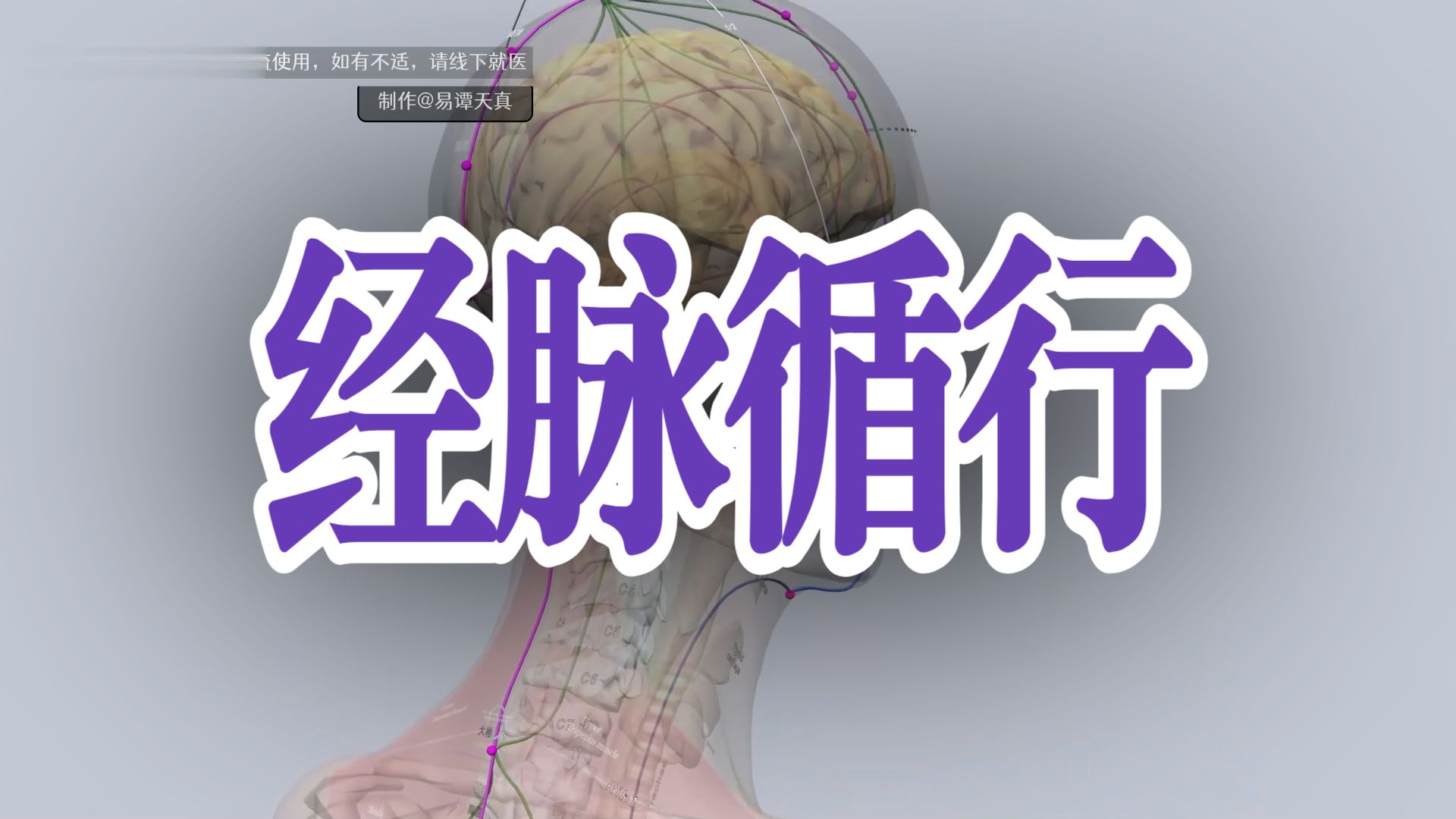 经脉循行