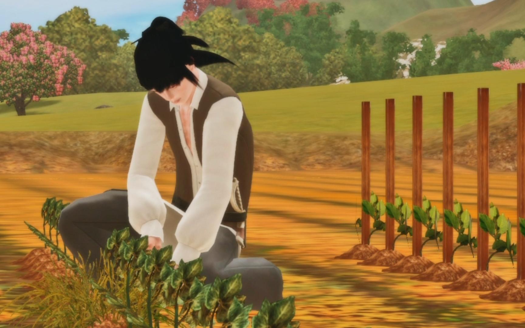 【模拟人生3】在古代开始种田的生活