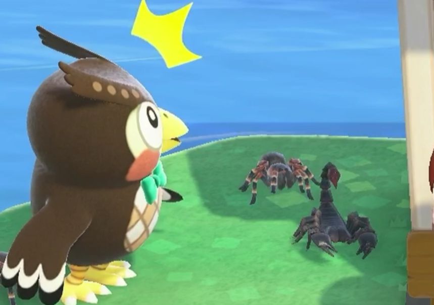 动森的生物有多可怕