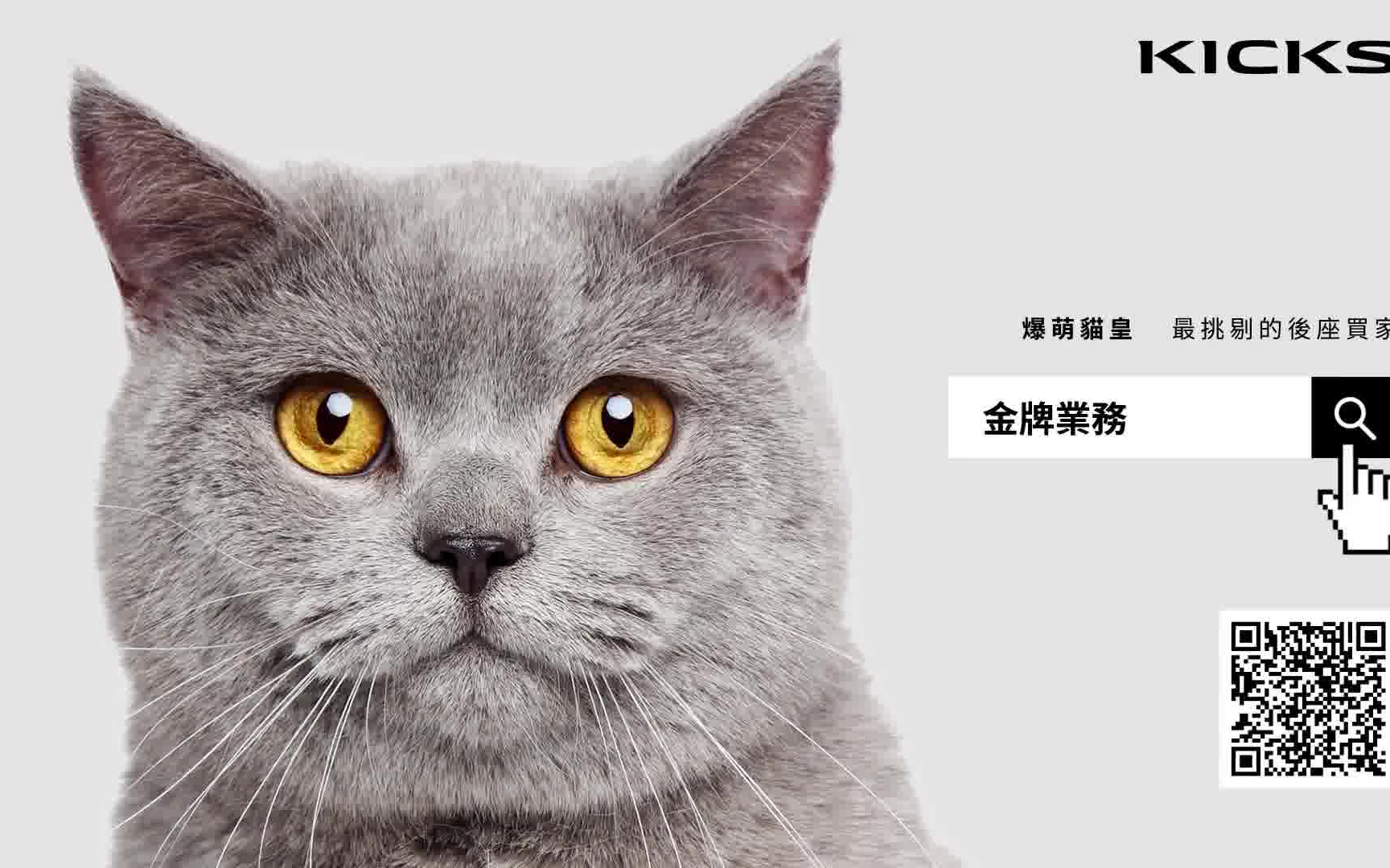 nissan kicks 日产劲客 金牌业务【爆萌猫皇】