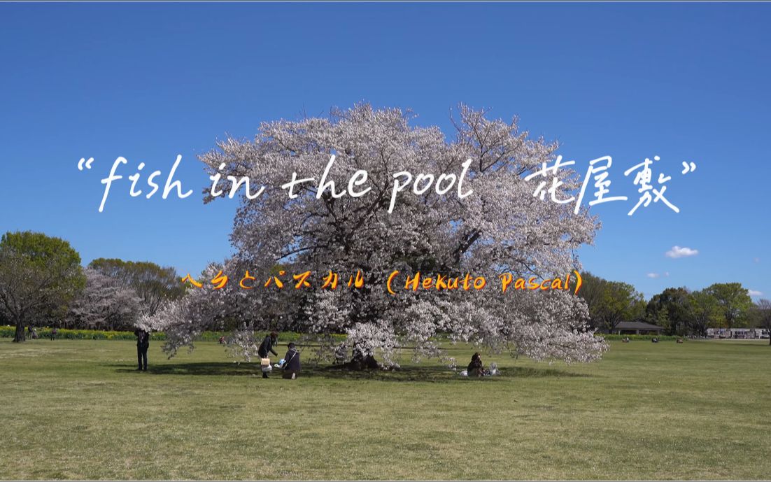 [图]“这个世界那么美好，不是么？”《fish in the pool・花屋敷》