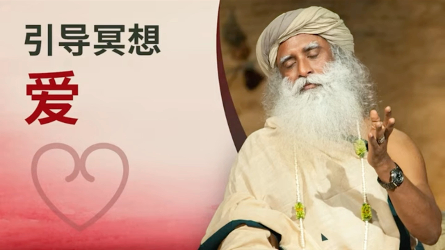 萨古鲁 内在工程 冥想 爱是你的本质_哔哩哔哩_bilibili