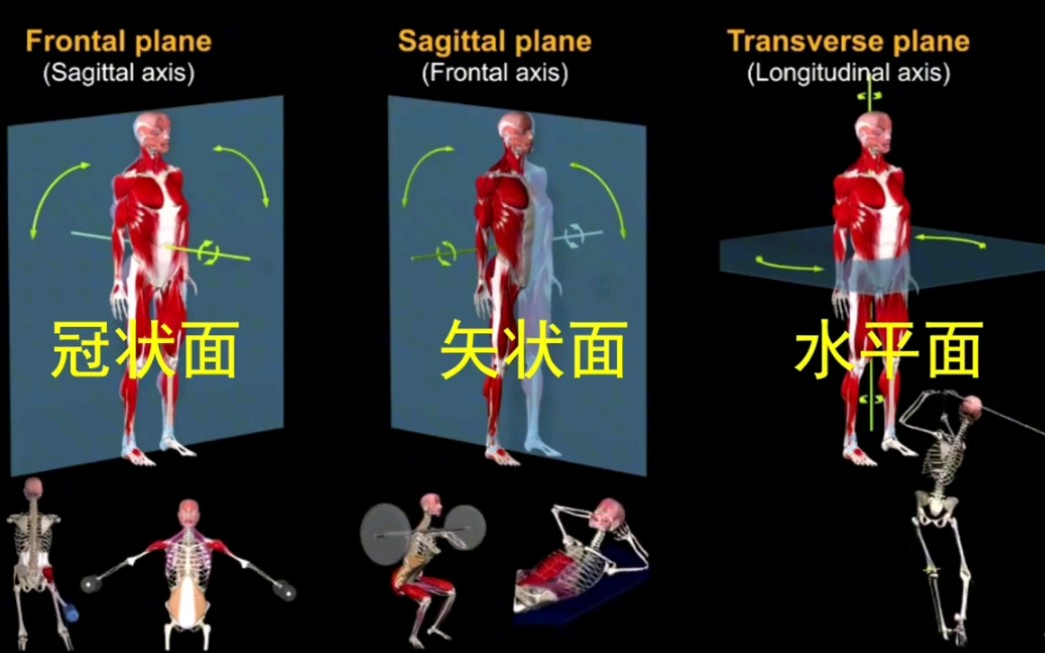 [图]【运动平面】为什么要给人体设定三维坐标？