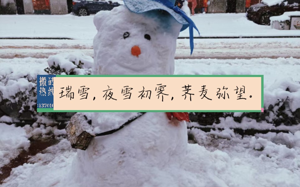 瑞雪,它是美丽的,是美好的,它是纯洁的.哔哩哔哩bilibili