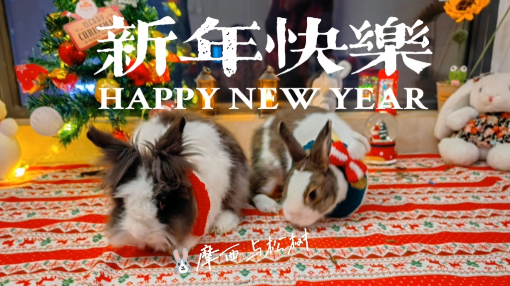 [图]新年快乐，兔年大吉～