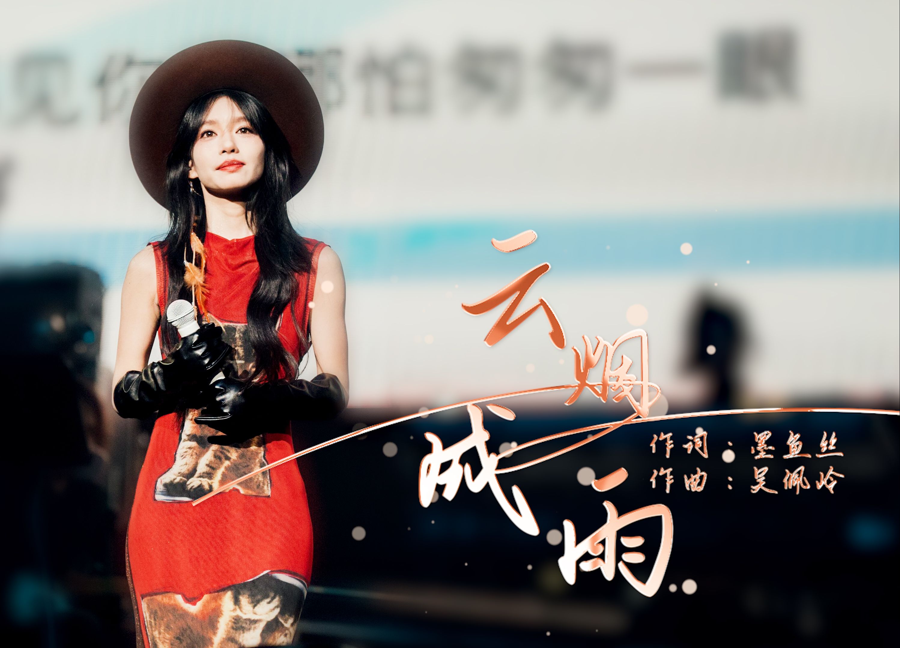 房东的猫-成都演唱会观众视角《云烟成雨》,相信美好的事物终会到来