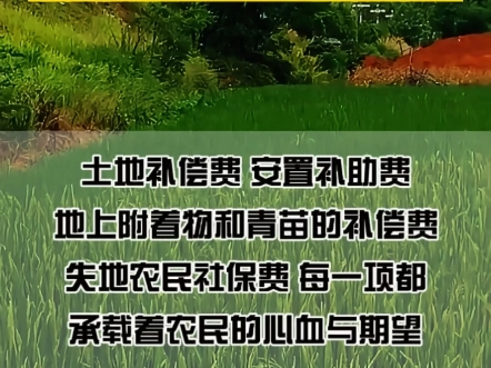 农民朋友未拿补偿未签字,征收方直接占地,违法!哔哩哔哩bilibili