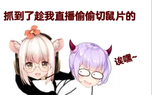 Download Video: 【Bison仓鼠】哎呀 现切鼠片被现场抓包惹