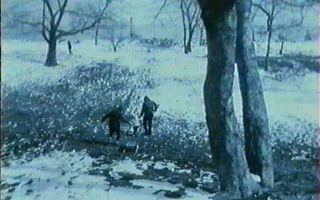 [图]Walden: Diaries, Notes and SKetches (1969) Jonas Mekas