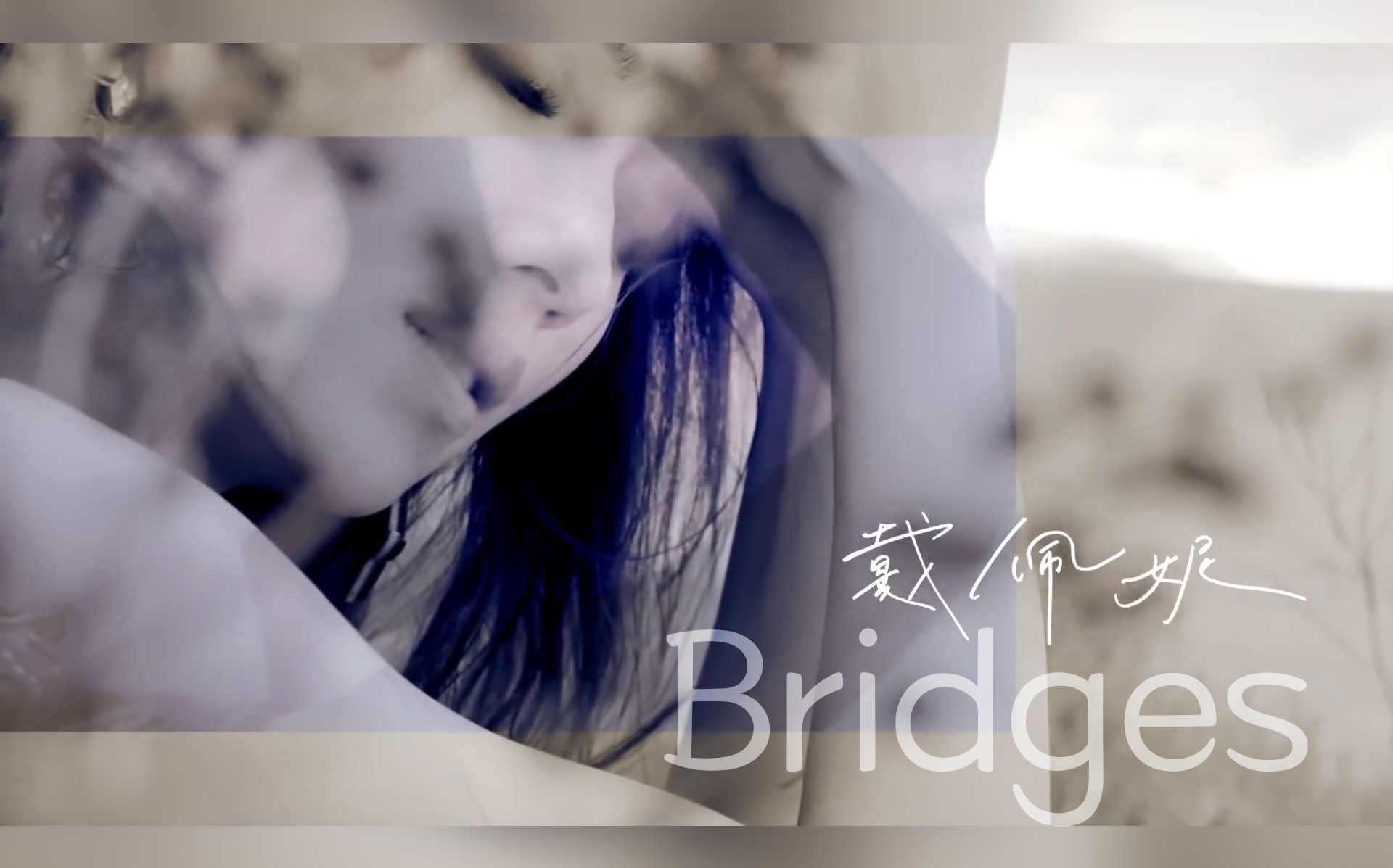 [图]【Penny戴佩妮】Bridges大全