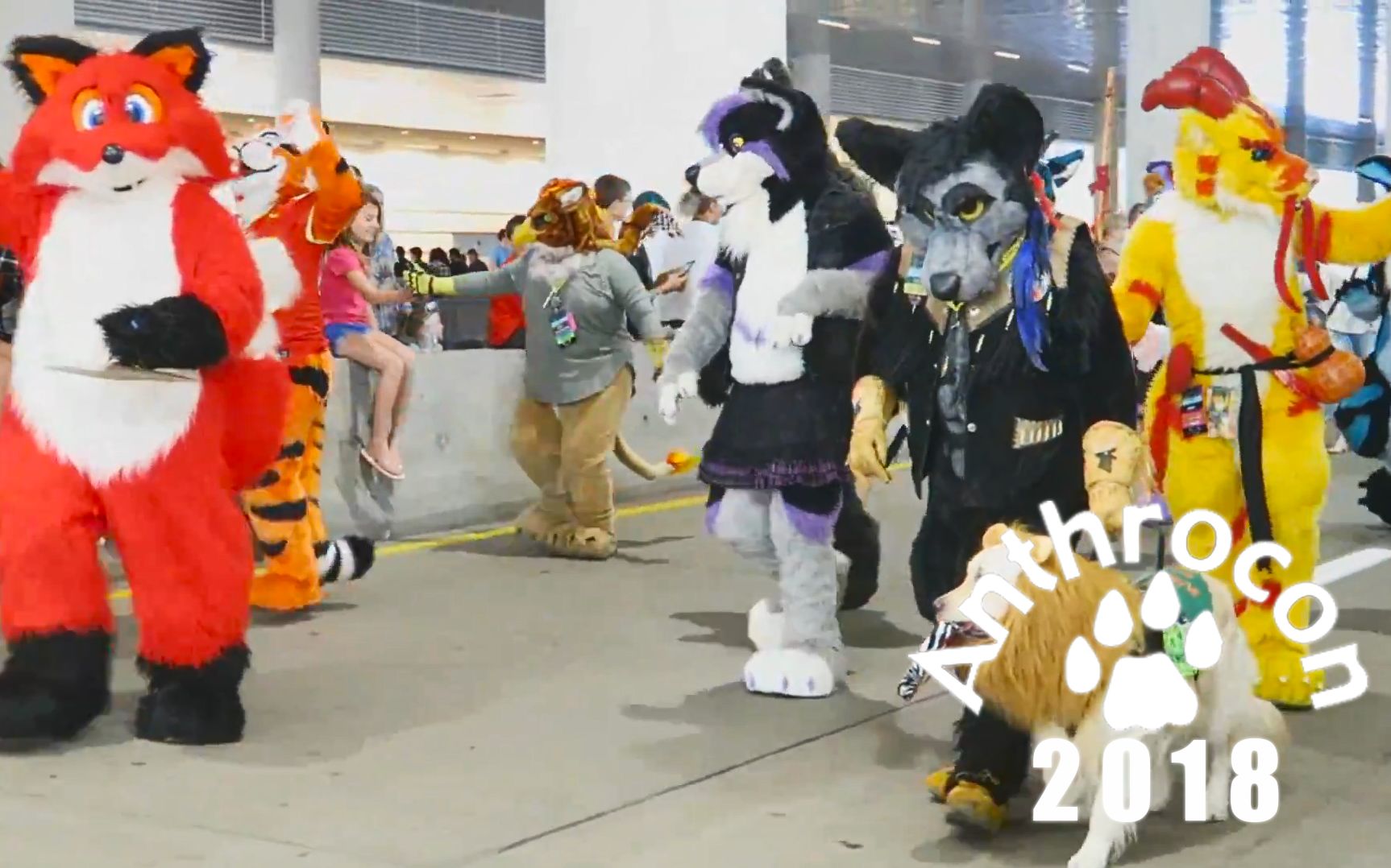 [图]【国外&兽装】一起来看看国外的兽装游行吧！Anthrocon-2018（前排视角）