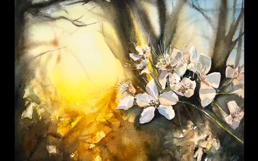 【水彩】水彩画中的光影画教程