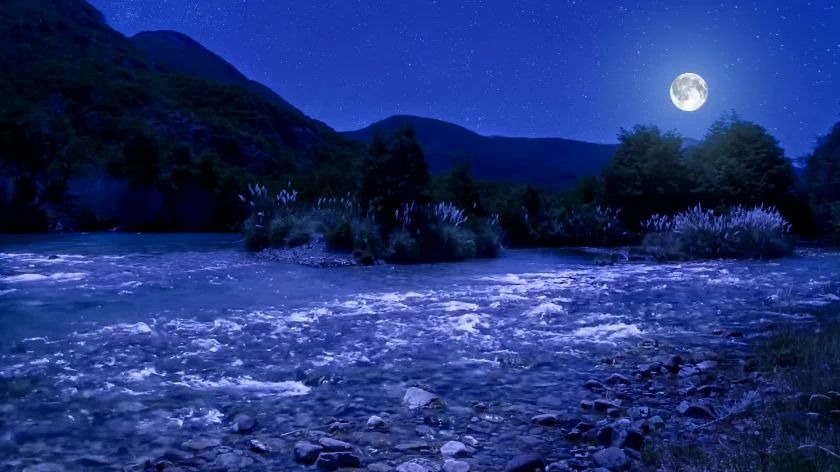 流水,月光.在月夜中享受美妙音乐,轻轻慢慢