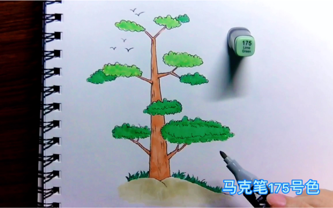 简笔画儿童画大全10.手绘树的画法,在家学画画.哔哩哔哩bilibili