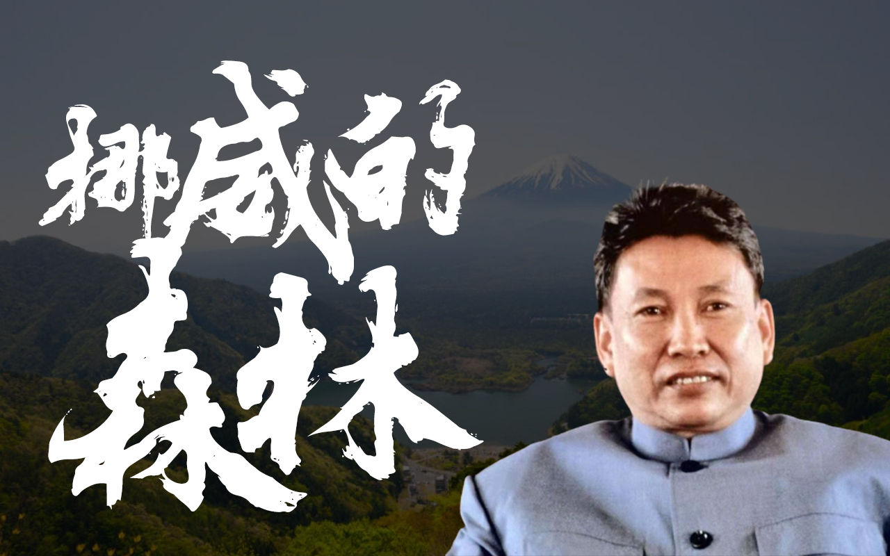 【ai波尔布特】挪威的森林(请看评论区置顶)