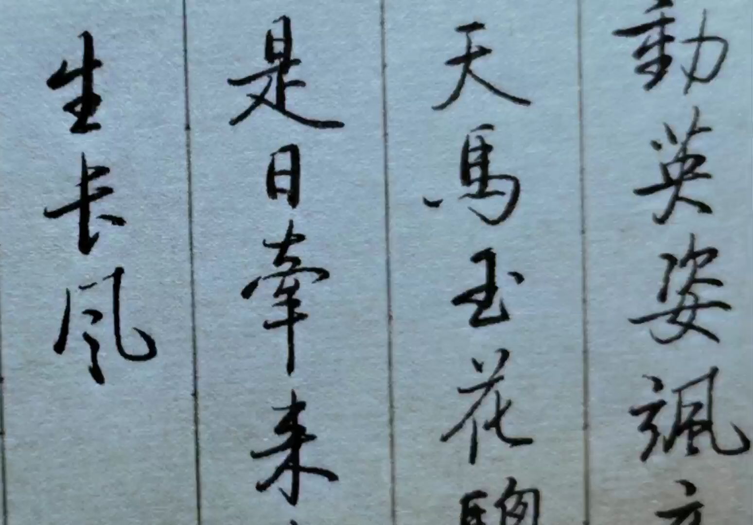 启功体硬笔书法,唐诗三百首,杜甫诗句:先帝天马玉花骢,画工如山貌不同