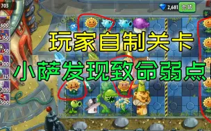 Download Video: pvz2：玩家自制关卡，小萨发现致命弱点！