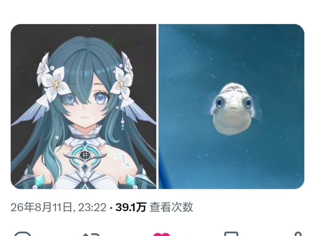 fish ~