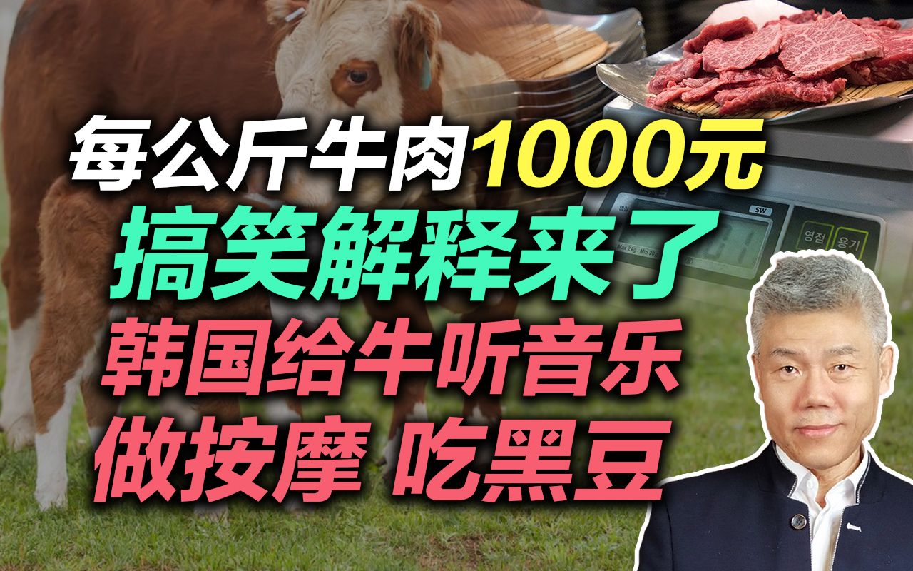 司马南:每公斤牛肉1000元搞笑解释来了,韩国给牛听音乐,做按摩,吃黑豆……哔哩哔哩bilibili