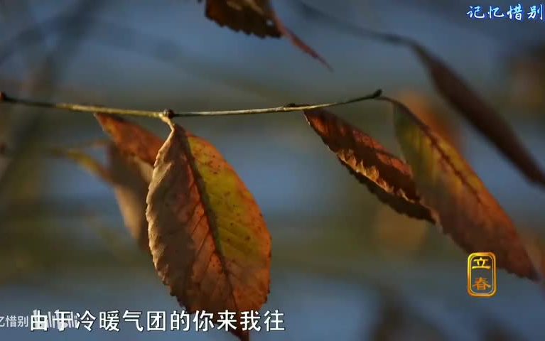 [图]【二十四节气】国语珍藏科普纪录片1-24