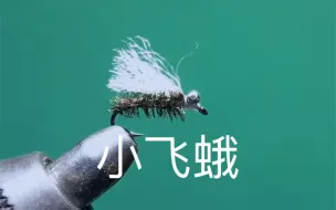 Tải video: 微物路亚飞钓 小飞蛾飞蝇钩绑制过程分享