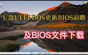 现流行的U盘UEFI DOS更新BIOS前瞻，以及BIOS文件的下载（易懂）