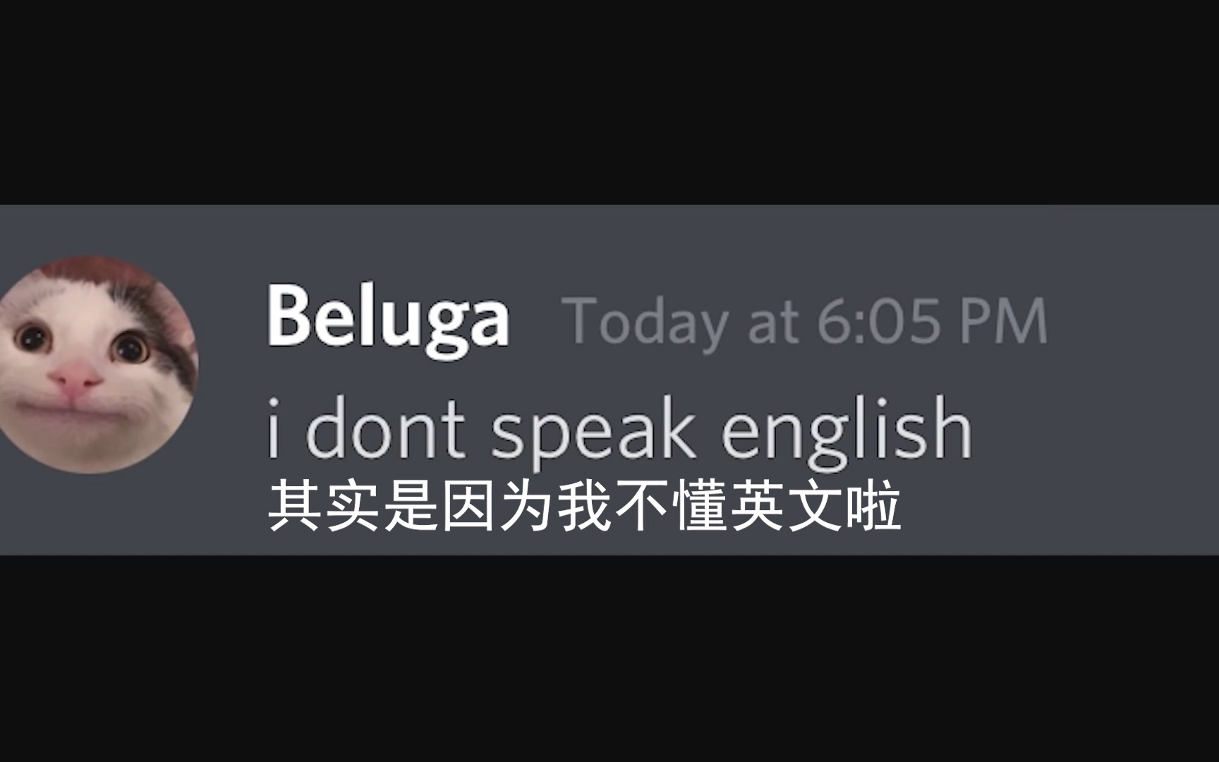 [Beluga和他的小伙伴]难道这就是你不讲英文的借口...哔哩哔哩bilibili