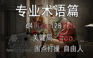 Tải video: 【冬夏】CSGO新手入坑教学——专业术语篇