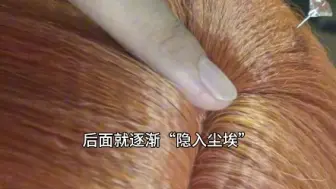 Descargar video: 【cos假发教程】新手贴发际线教程2