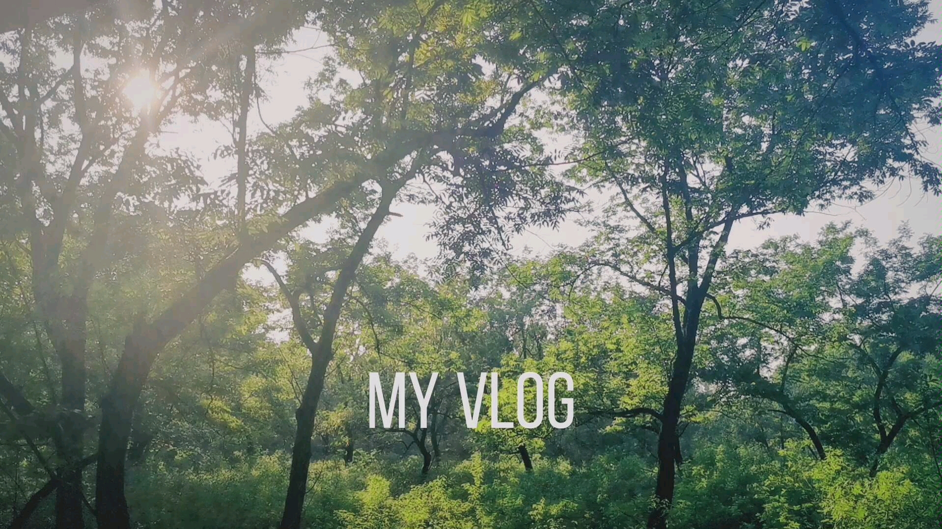 观光vlog选一个时间静听风的声音