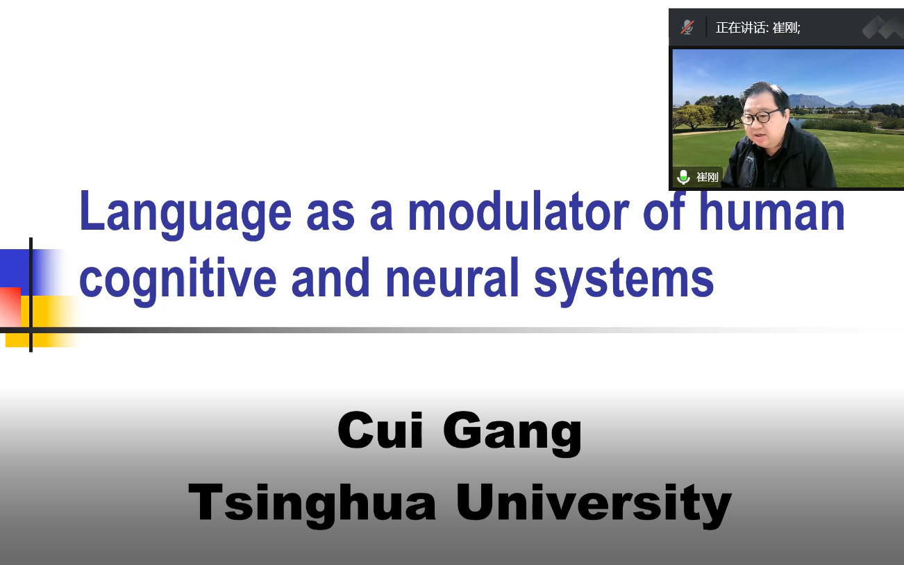 语言作为一种认知与神经的调节机制崔刚教授(清华大学)哔哩哔哩bilibili