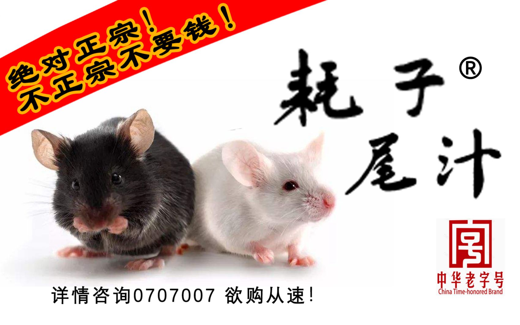 沙雕向伪科普正宗耗子尾汁的家常做法