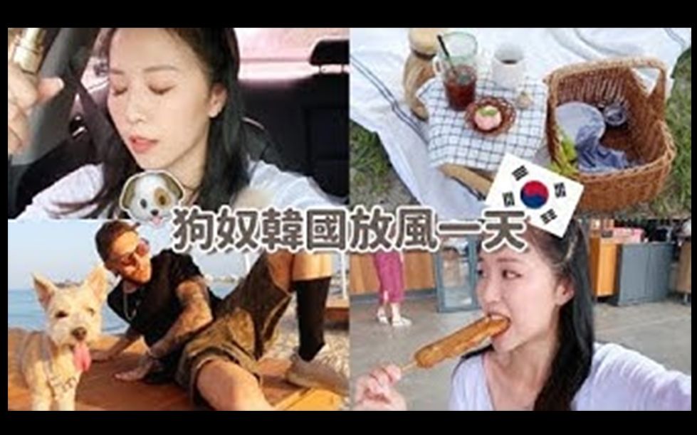 【lizzydaily】[韩国VLOG] 狗奴一天怎麽过! 带XX去束草疯跑! 超美海滩CAFE! 夏日晨间保养 [合作]哔哩哔哩bilibili